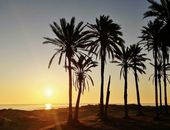 *Costa Blanca… Palmy, Słońce, Plaża + Morze.